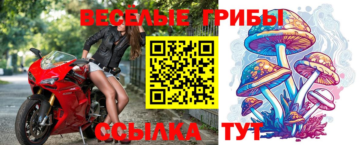 Псилоцибиновые грибы мицелий Людиново