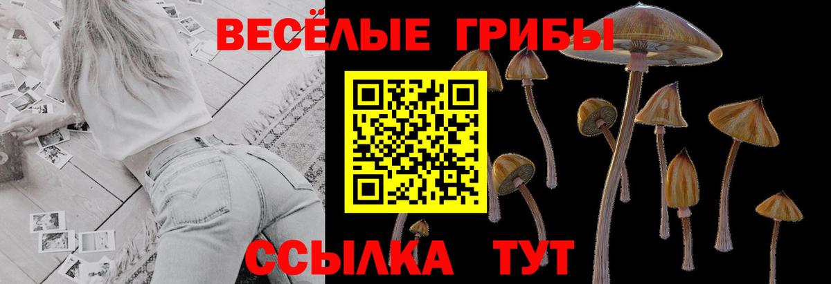 Псилоцибиновые грибы GOLDEN TEACHER  Вход с VPN  Людиново  Псилоцибиновые грибы мухоморы 